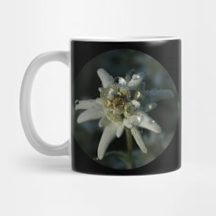 Edelweiss Mug